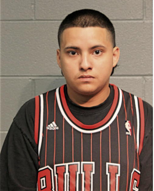 EDWIN ALFREDO DIAZ, Cook County, Illinois