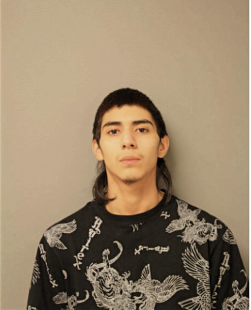 MIGUEL M GUERRERO, Cook County, Illinois