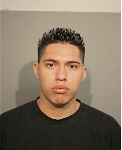 ALAN J HERNANDO, Cook County, Illinois