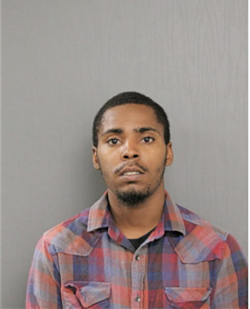 MICHAEL A HICKS, Cook County, Illinois