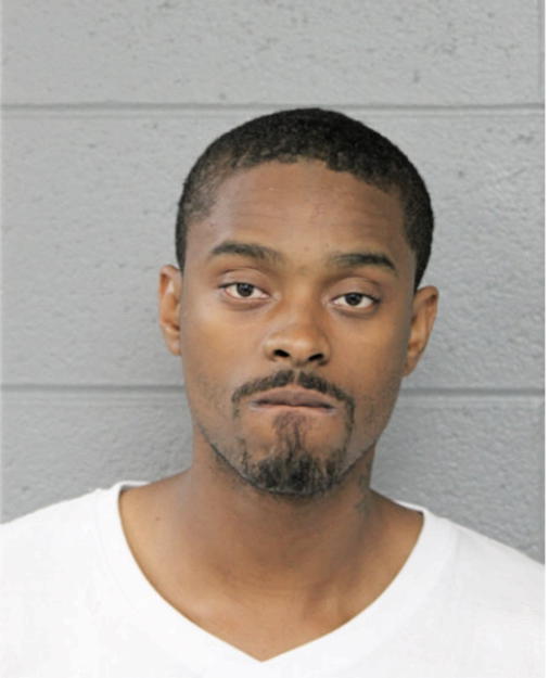 DANNY L JOHNSON, Cook County, Illinois
