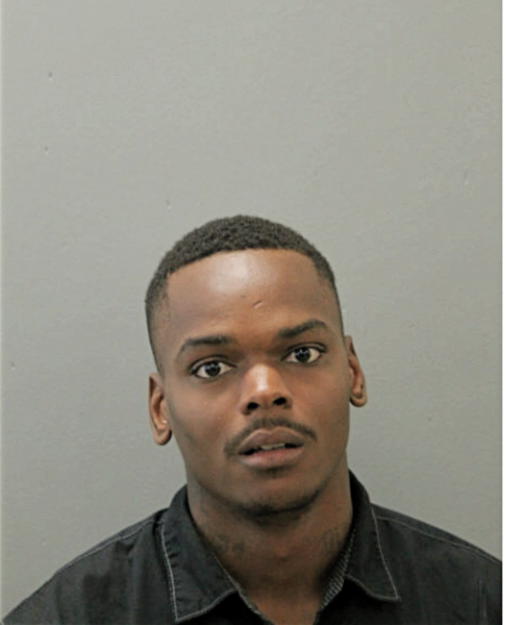 ISSAC L MANNING, Cook County, Illinois