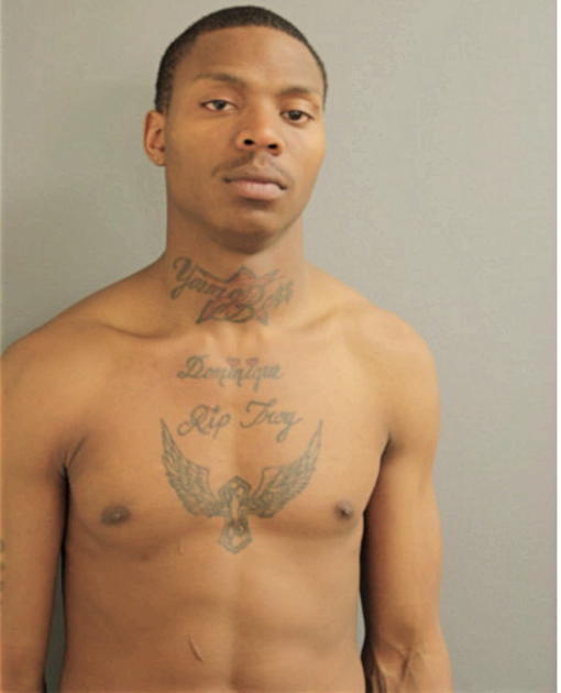 TRYCE A MARTIN, Cook County, Illinois
