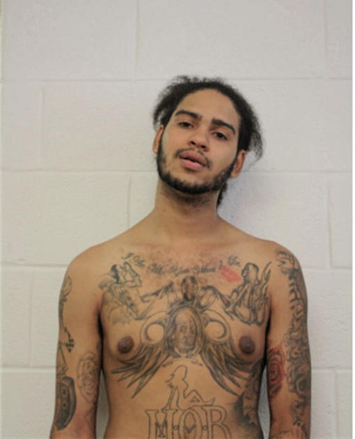 TIMOTHY J MENA, Cook County, Illinois