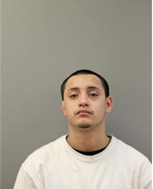 EDILBERTO MENDOZA, Cook County, Illinois