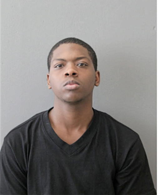 ROBERT L PALMER, Cook County, Illinois