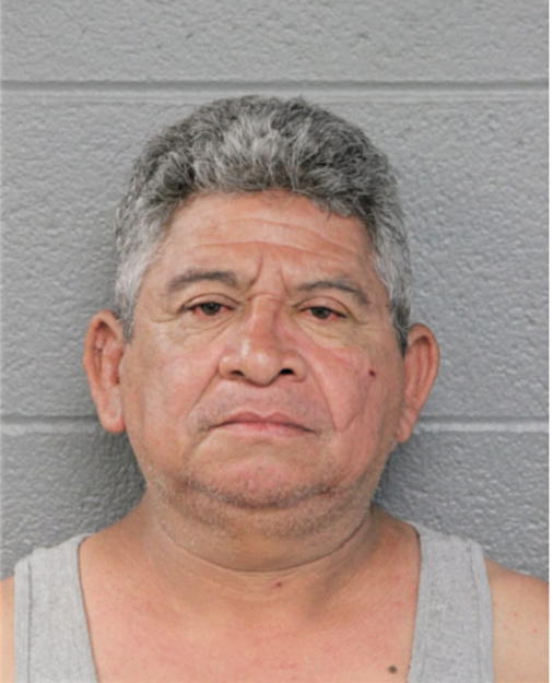 LUIS-HUMBERTO PAPADOPOLO-ESTRADA, Cook County, Illinois