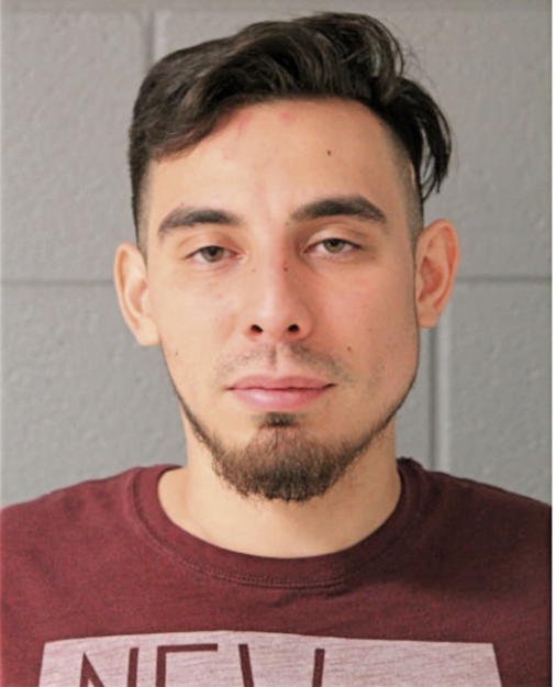 ALFREDO A PEREZ, Cook County, Illinois