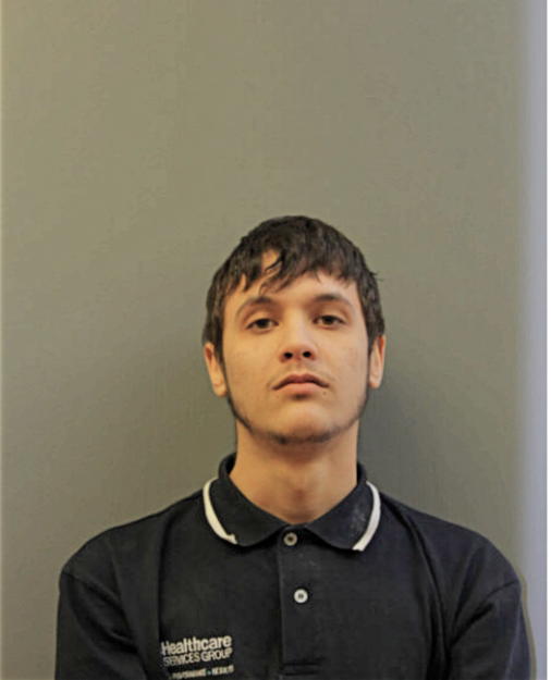 GEOVANNY R PEREZ, Cook County, Illinois