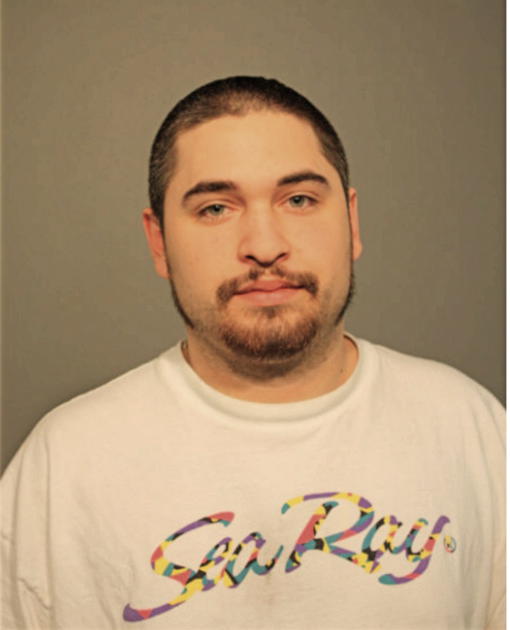 MICHAEL B PETERSON, Cook County, Illinois