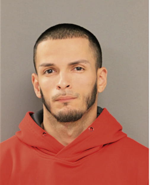 PETER A RODRIGUEZ-BIASE, Cook County, Illinois