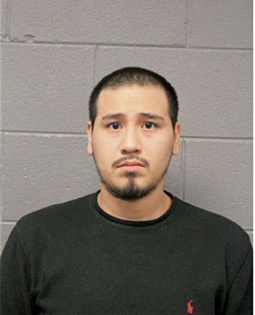 CARLOS VEGA, Cook County, Illinois