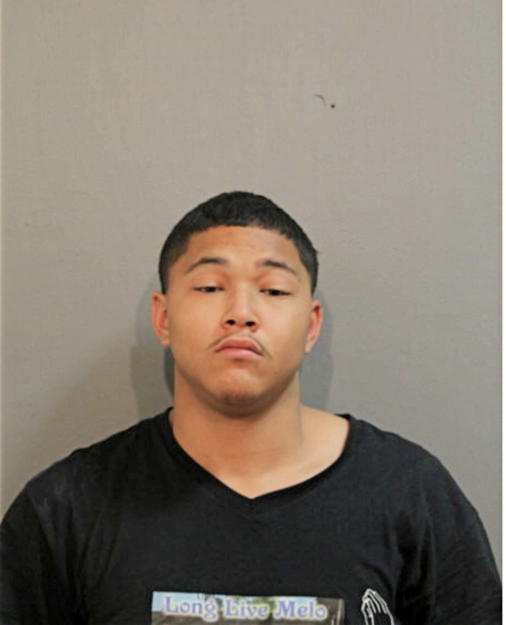 QUONELLIS M WILLIAMS, Cook County, Illinois