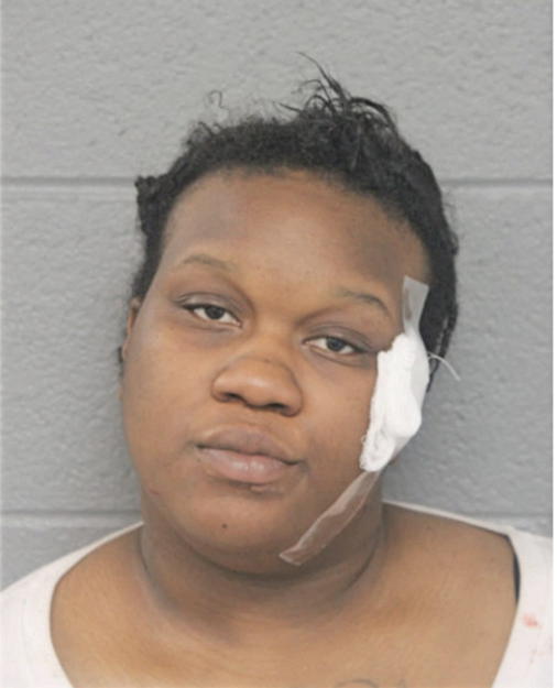 AMANDA L WILLINGHAM, Cook County, Illinois