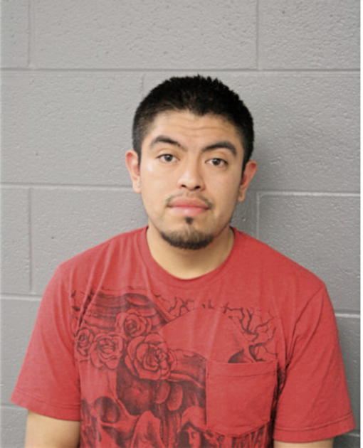 ALFREDO ARRIAGA, Cook County, Illinois