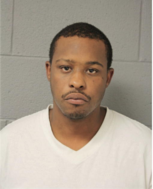 ROBERT N BRISCOE, Cook County, Illinois