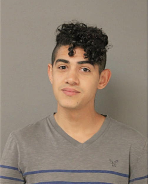 CHRISTIAN J CHICAS, Cook County, Illinois