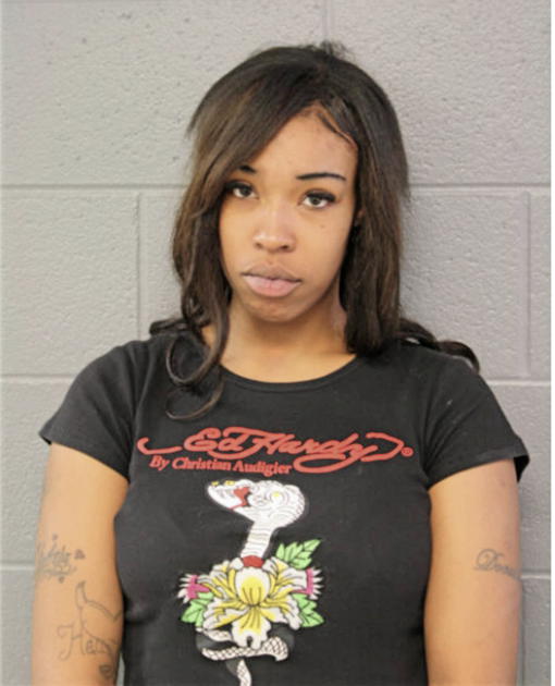 ALICIA M ERSKIN, Cook County, Illinois