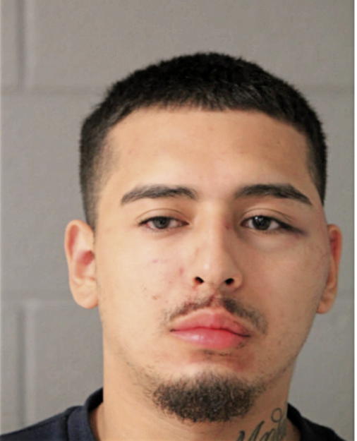 EDGAR D GALVAN, Cook County, Illinois