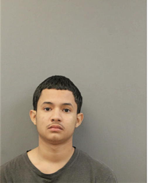 JUSTIN J HERNANDEZ, Cook County, Illinois
