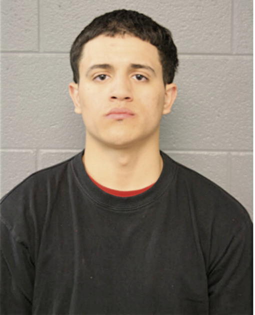 ANGEL DAVID IRIZARRY, Cook County, Illinois