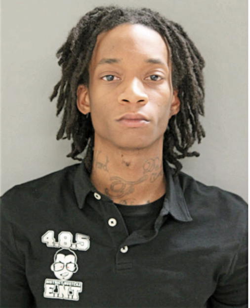 CARL J JENKINS, Cook County, Illinois