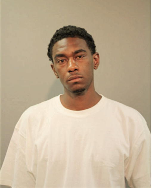 TERRELL JOHNSON, Cook County, Illinois