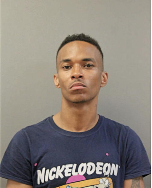 CLIFFORD S LEWIS, Cook County, Illinois