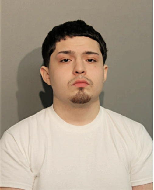 DANIEL A MEDINA GUERRERO, Cook County, Illinois