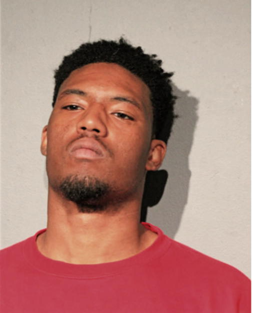 CORTEZ J MICHALSKI, Cook County, Illinois
