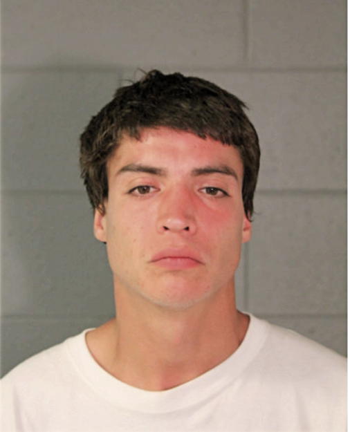 CARLOS M MONTERO, Cook County, Illinois