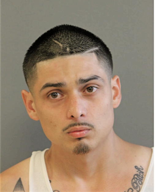 JOSE PATINO, Cook County, Illinois