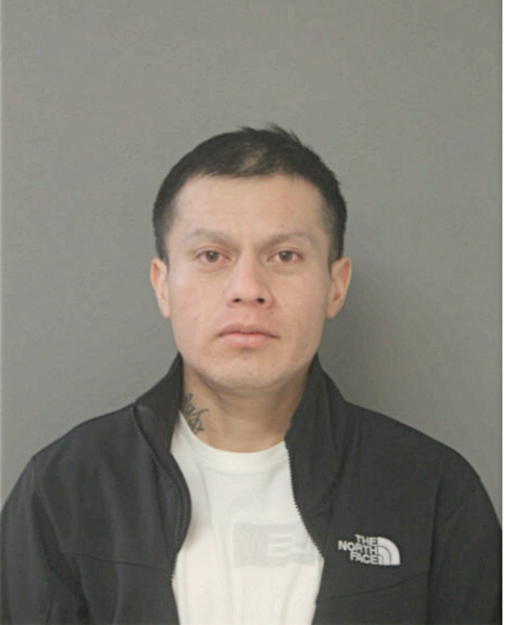 PABLO PUMA, Cook County, Illinois