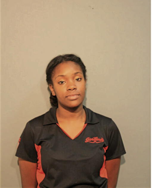 ERIN N ROBINSON, Cook County, Illinois