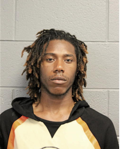 SHAWN N ROBINSON, Cook County, Illinois
