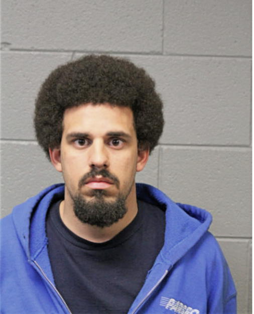 RYAN C SAMSON, Cook County, Illinois