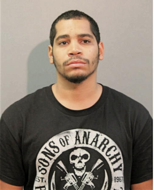 ISRAEL SANCHEZ, Cook County, Illinois