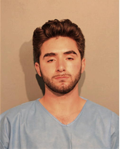 ANDREW N STGERMAIN, Cook County, Illinois
