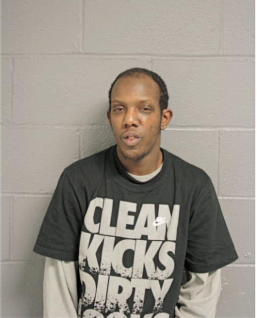 DARWYN N STOKES, Cook County, Illinois