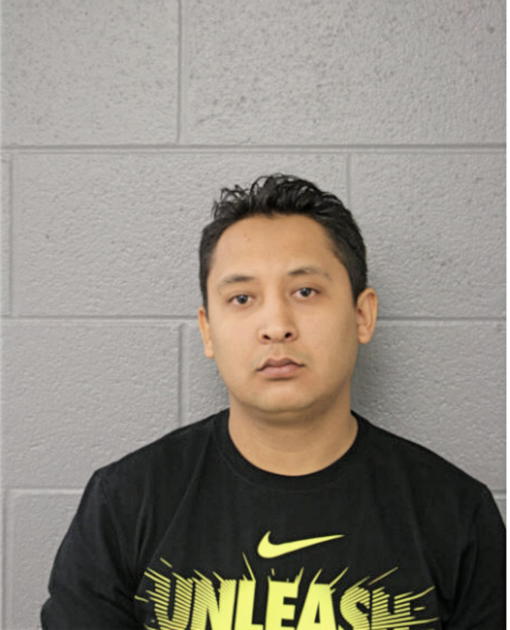 JOSE O UGALDE, Cook County, Illinois