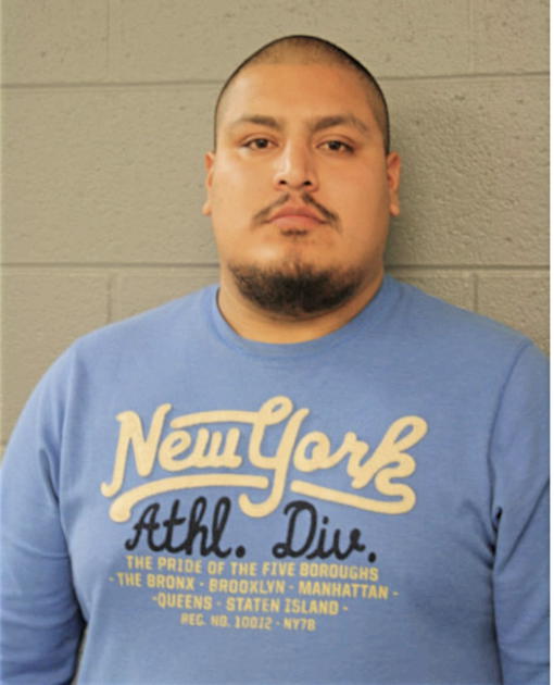 ANTHONY VIDALES, Cook County, Illinois