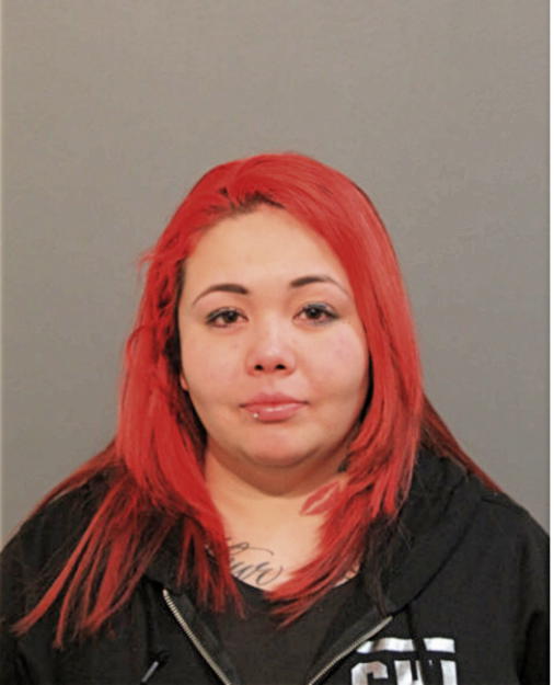 MONICA VIRGIN, Cook County, Illinois