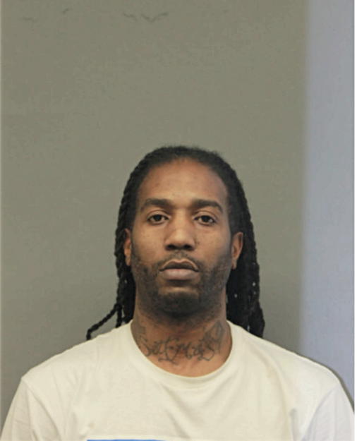 JONATHAN E WATKINS, Cook County, Illinois