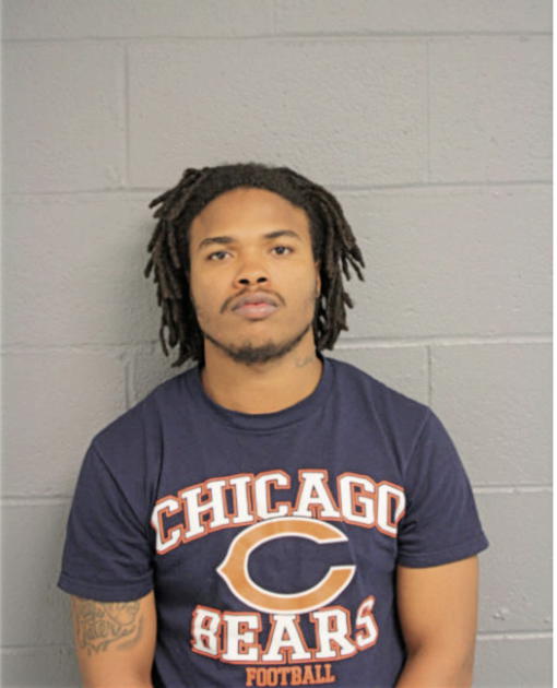 NELSON C YATES, Cook County, Illinois