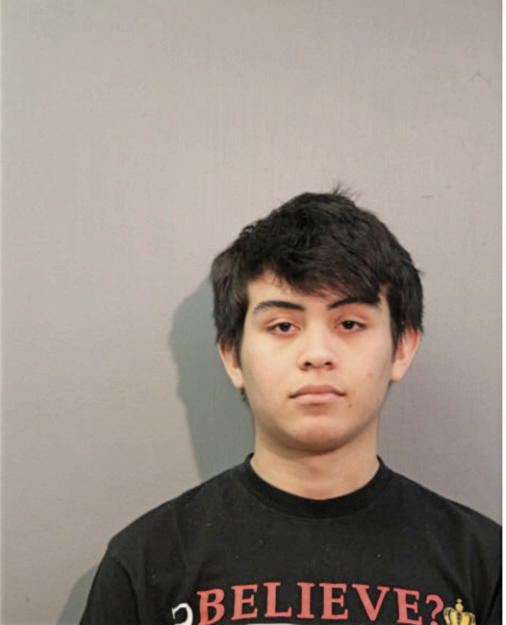 RUSBEL J AGUILAR, Cook County, Illinois