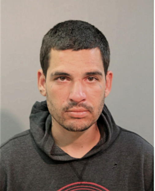 EDGARDO J ARCHILLA, Cook County, Illinois