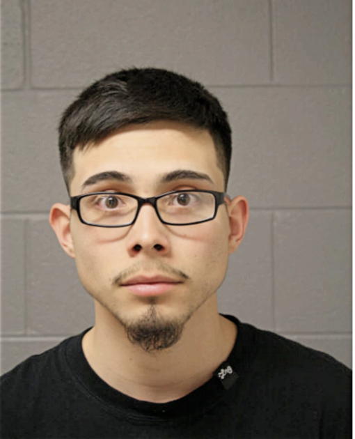 FRANCISCO D ARROYO, Cook County, Illinois