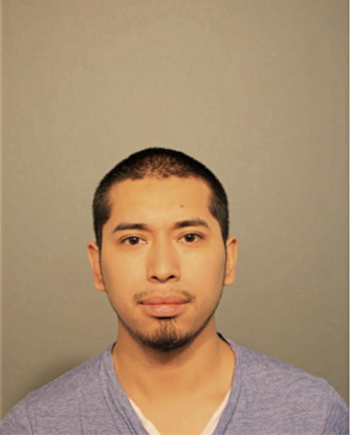 BERTIN AVELAR, Cook County, Illinois