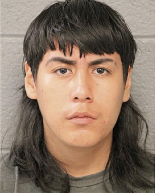 BRIAN AVILA, Cook County, Illinois