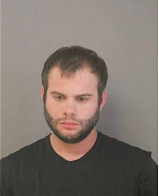 FRANK P BURDI, Cook County, Illinois